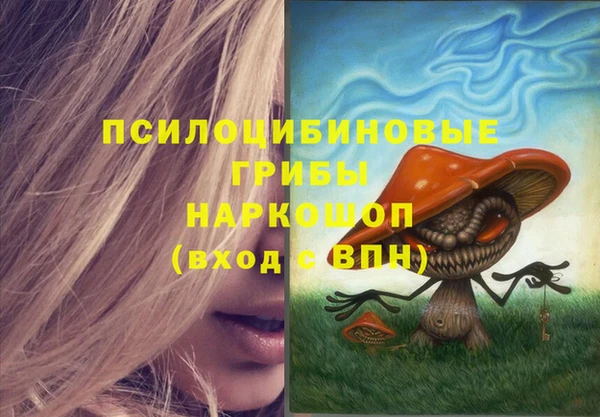 экстази Богданович