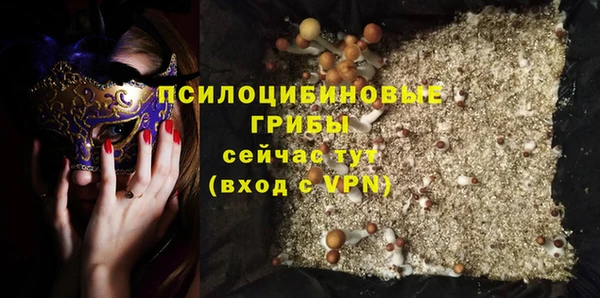 экстази Богданович