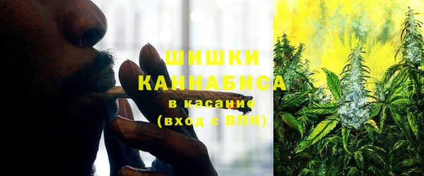 дурь Богородск
